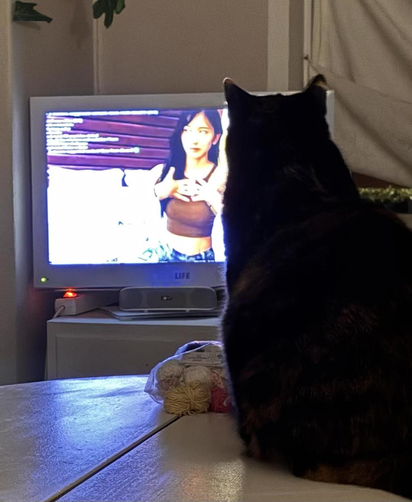 new Photos 2026-08-10 Chili love to Watch you too 😻 by nillesille
